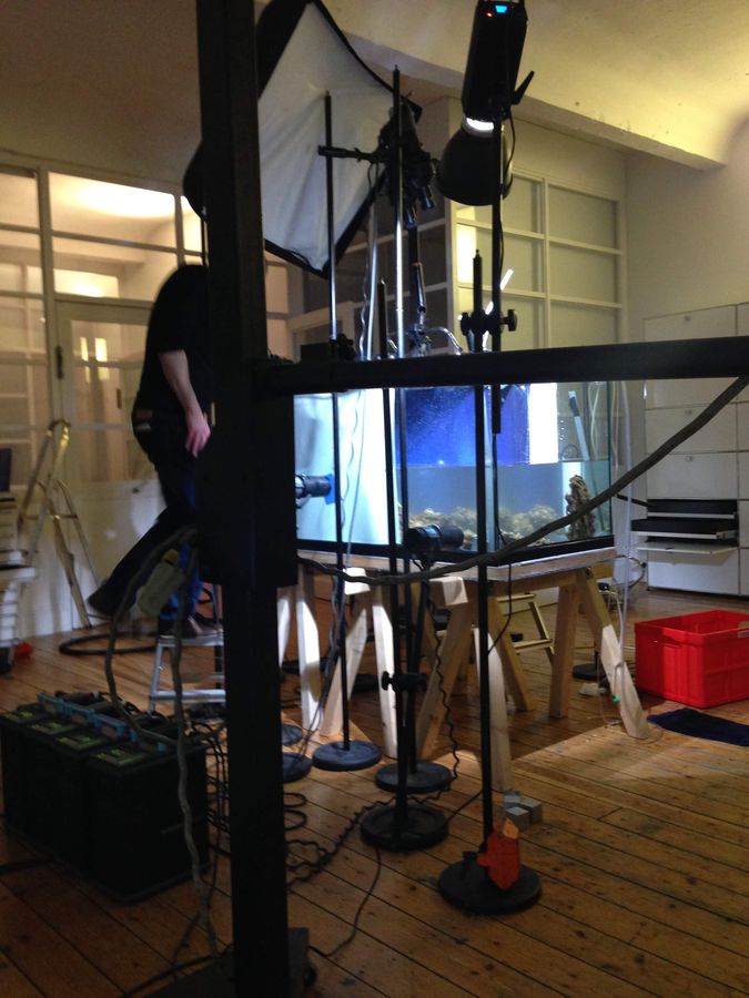 Making-of: Aufbau des Aquariums mit Lichtequipment im Studio